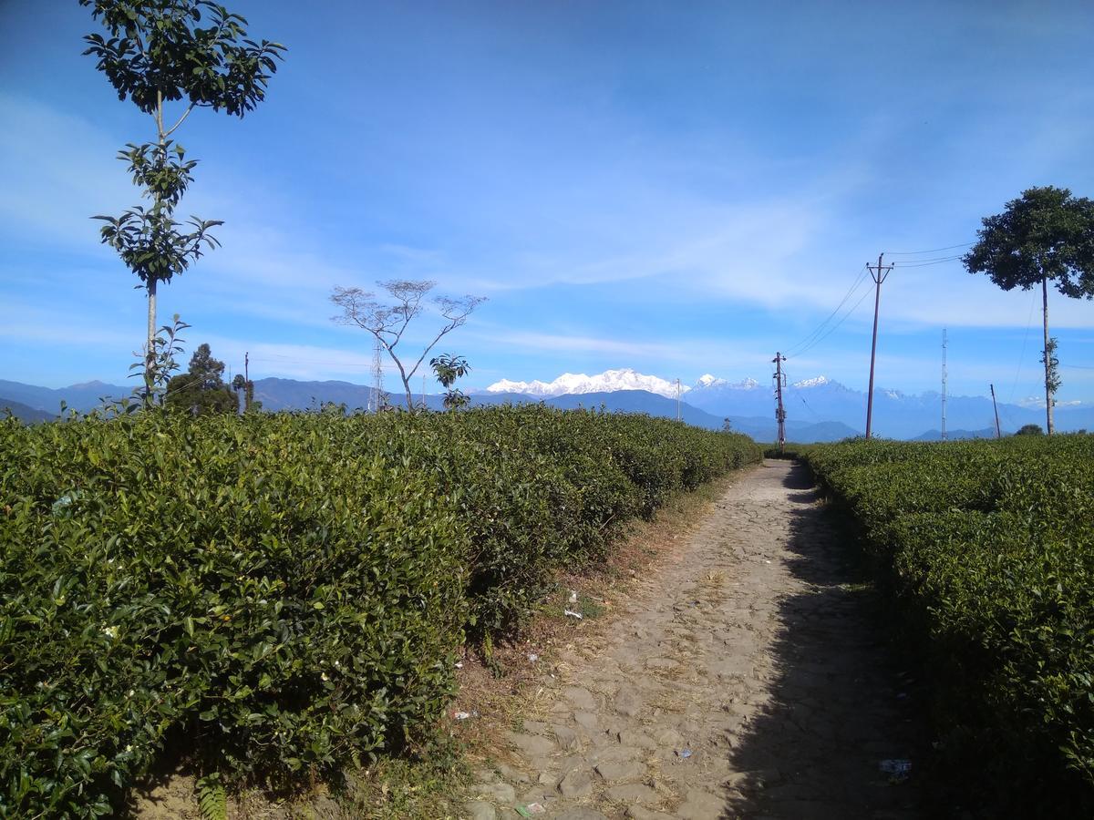 Bamboo Resort And Atv Park Darjeeling  Exterior foto